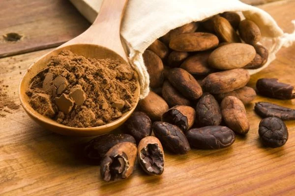 Cocoa Bean Price per Ton May 2022